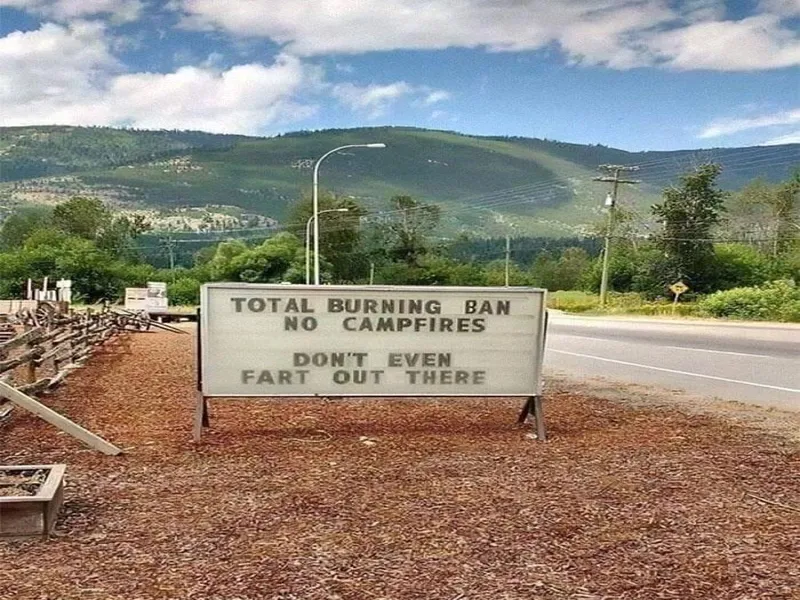 The Best Satirical Memes About the Human Condition