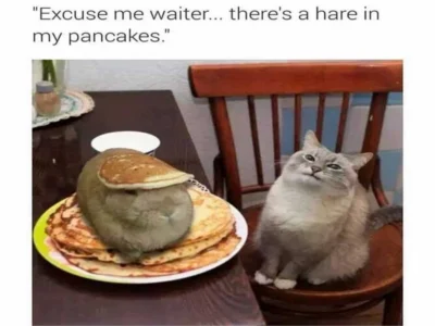 Hottest Memes You Need to Try in 2025