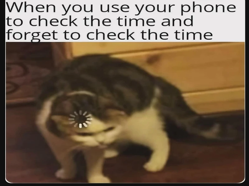 Memes That Reveal the Truth Through Satire
