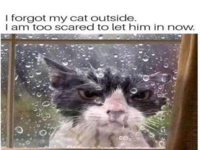 Popular Meme Formats to Share with Friends