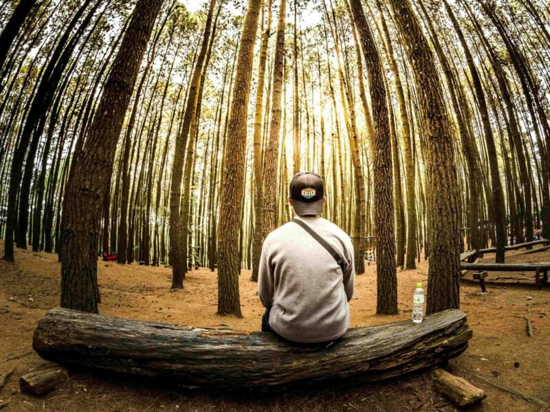 Planning for Retirement Early in Your Career