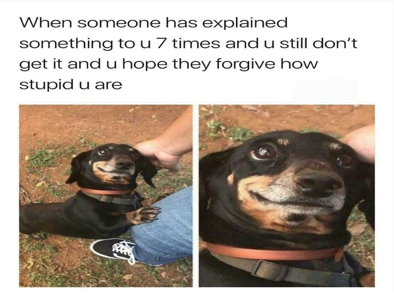 Niche Humor Thats Too Good to Miss