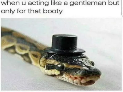 Trending Templates for Creating Relatable Memes