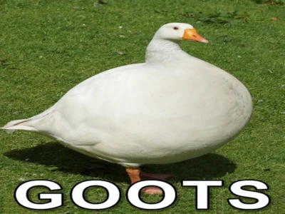 Meme Templates That Are Perfect for Any Occasion