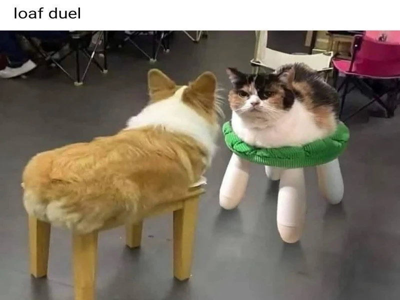 Hidden Memes for the Inside Circle