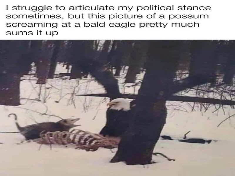 Funny Memes That Poke Fun at the Absurdities of Politics