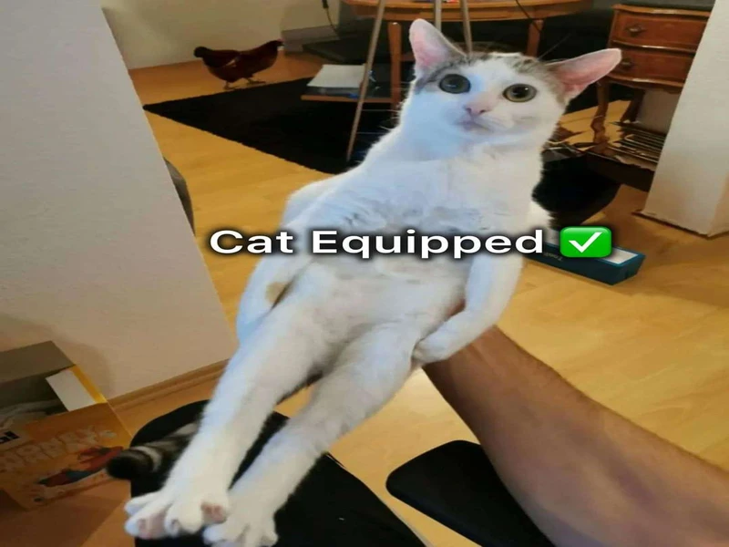 The Funniest Niche Memes Youve Never Seen
