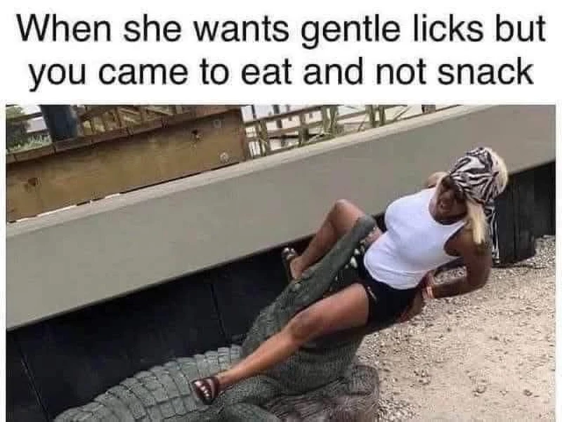 Top Meme Templates You Need to Know About
