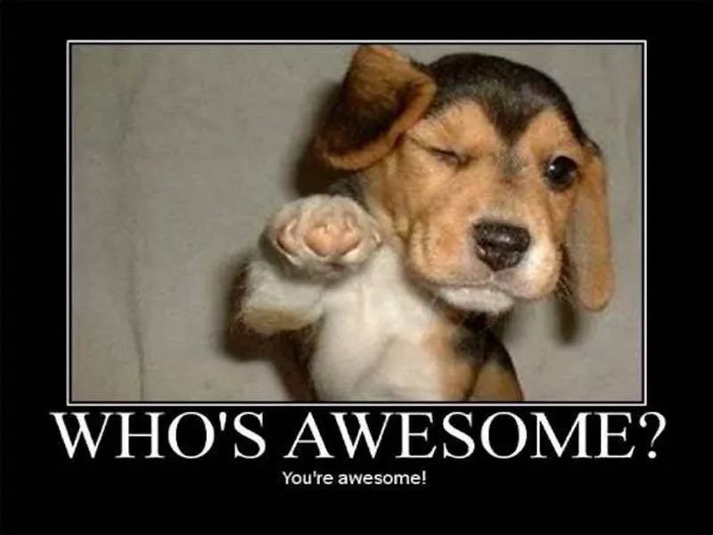 Jokes That Speak Only to the Most Dedicated