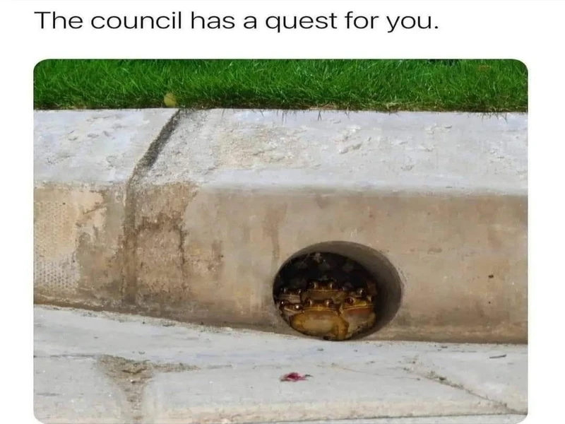 Satirical Memes That Mock the Things We Take Seriously