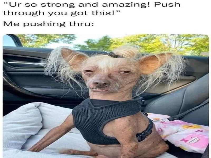 Popular Meme Formats You Should Be Using