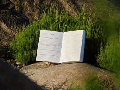The Role of Accountability Partners in Habit Formation