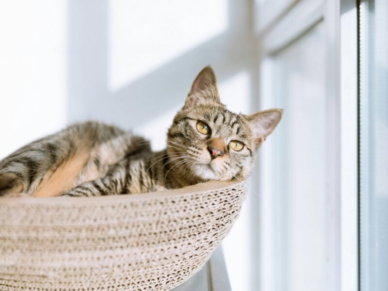 Exploring Different Types of Meditation Practices