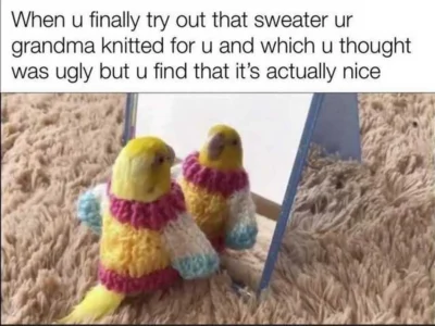 The Best Memes for Small But Mighty Communities