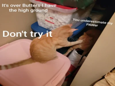 Memes That Will Make You Fight for the Best Punchline