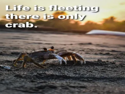 Hilarious Word Jokes That Will Have You Laughing