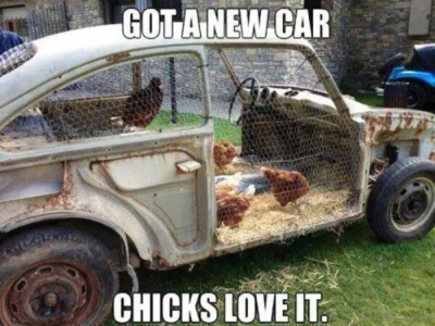 Witty Memes That Offer a Satirical View of Society