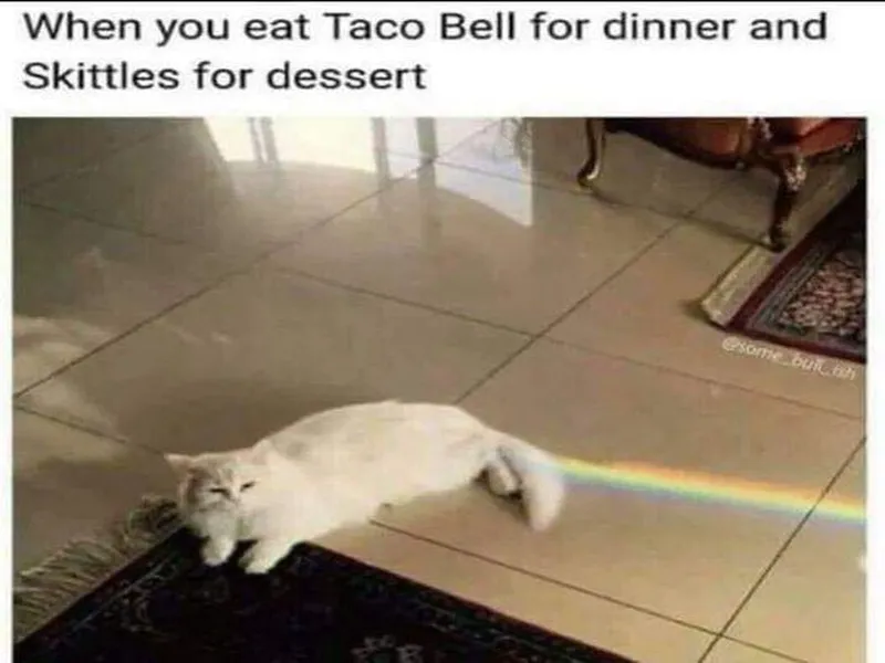 Fresh Meme Templates to Share Today
