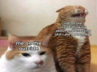 Memes That Take a Stab at Popular Opinions