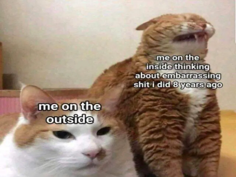 Memes That Take a Stab at Popular Opinions