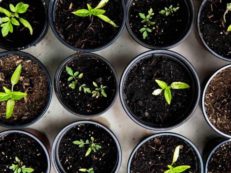 Delegating to Free Up Your Time