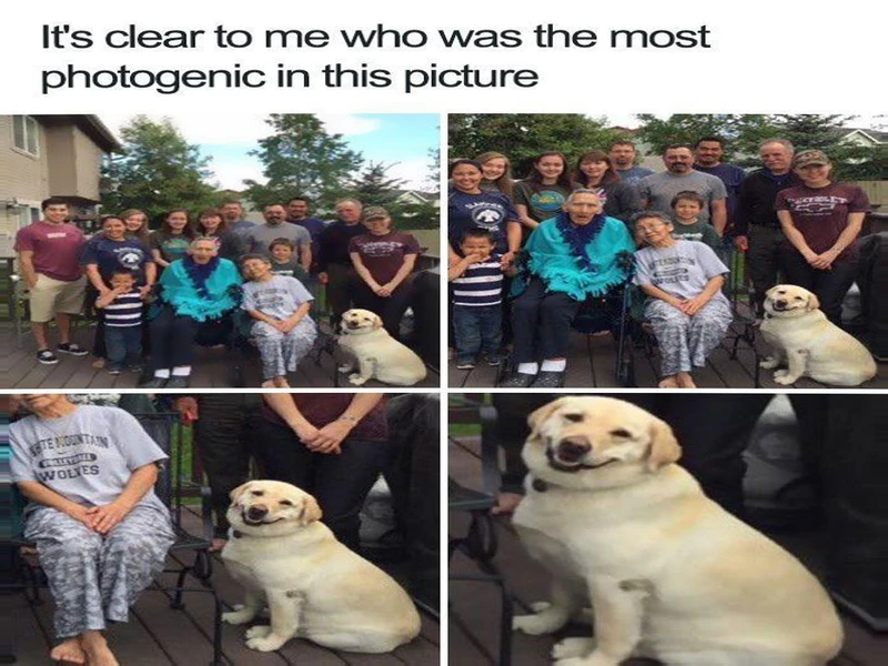 Memes That Will Make You Question Everything