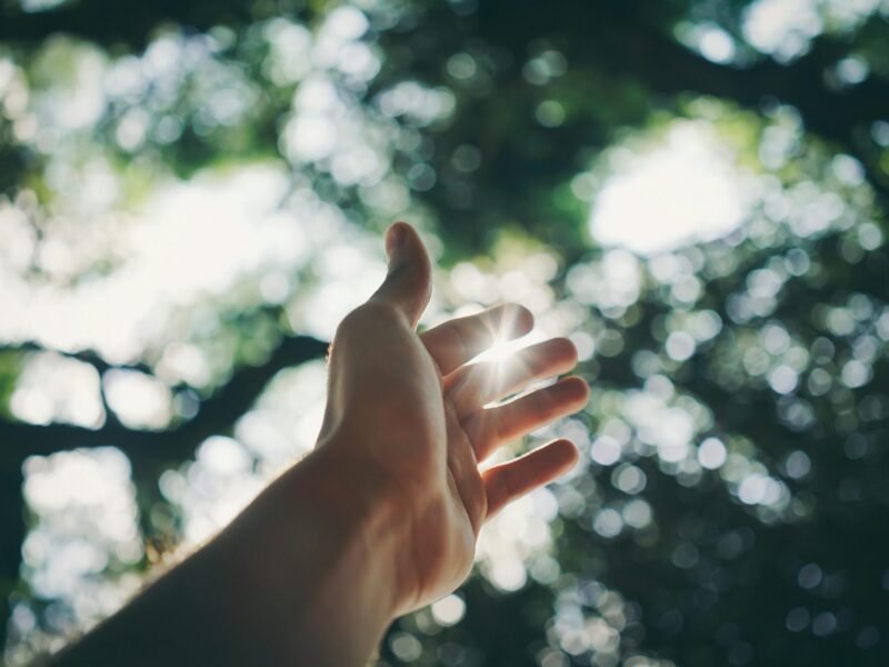 Understanding the Science Behind Meditation